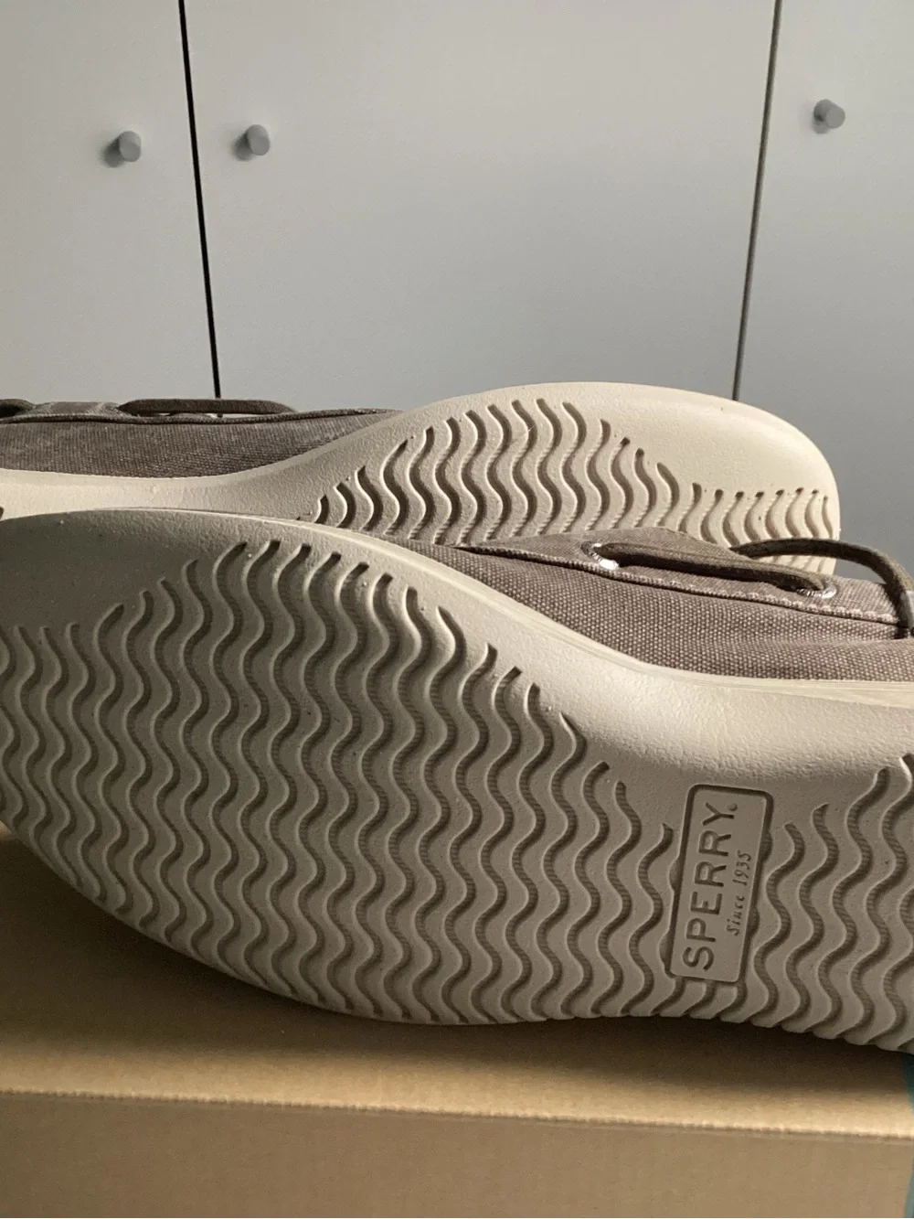 Sperry Men's Canvas Boat Shoes